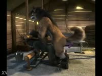 Furry couple fucking the cabin in hot beastiality sex